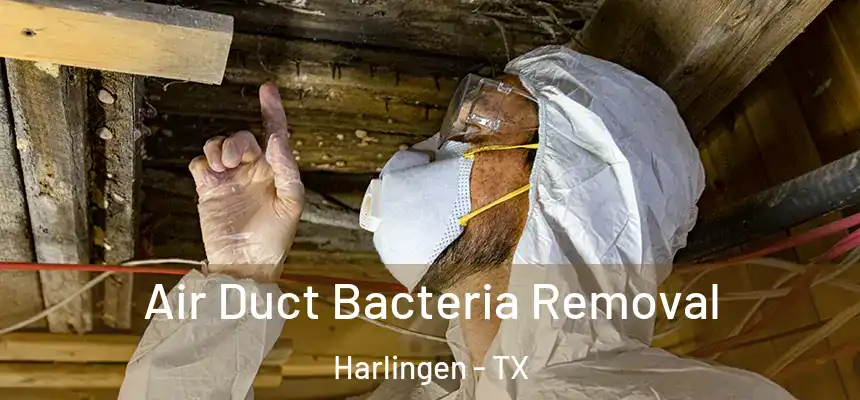 Air Duct Bacteria Removal Harlingen - TX