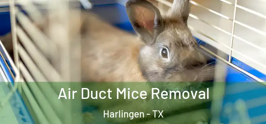 Air Duct Mice Removal Harlingen - TX