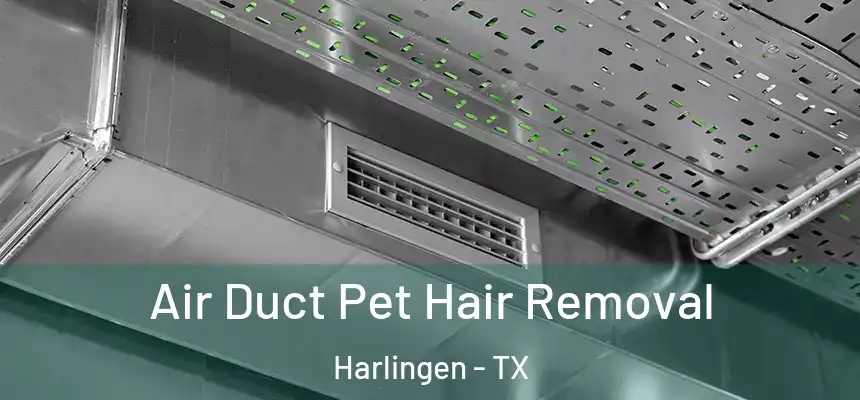  Air Duct Pet Hair Removal Harlingen - TX