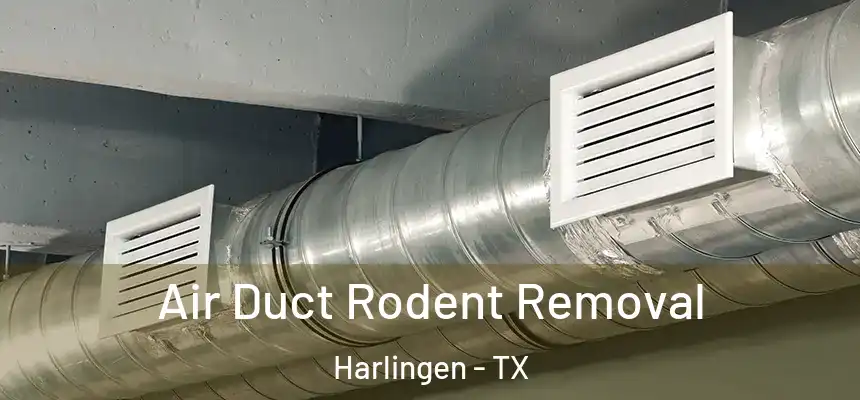 Air Duct Rodent Removal Harlingen - TX