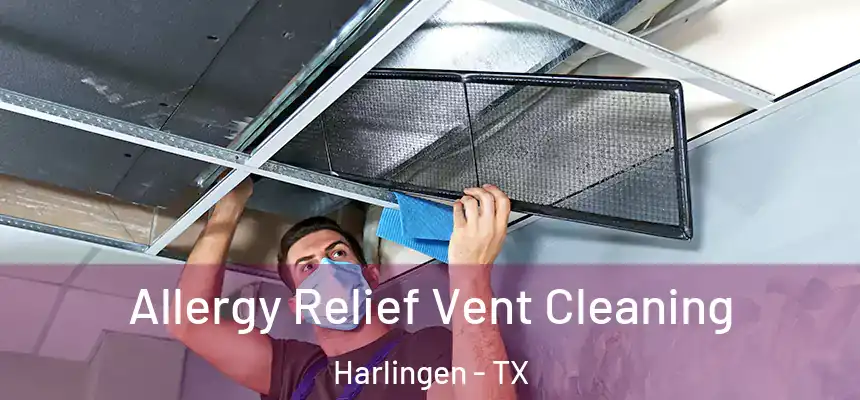 Allergy Relief Vent Cleaning Harlingen - TX