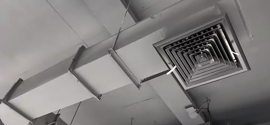 Our Pest Removal From Ducts Services in Harlingen, TX