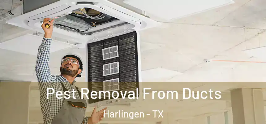  Pest Removal From Ducts Harlingen - TX