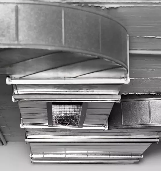 Professional Air Duct Pet Hair Removal in Harlingen, TX