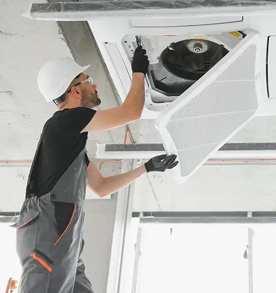 About Air Duct Rodent Removal in Harlingen, TX