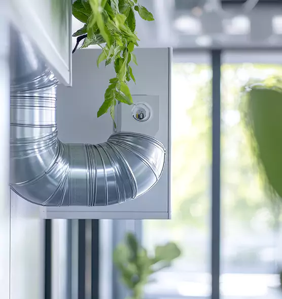 Professional Eco-Safe Dryer Vent Cleaning in Harlingen, TX