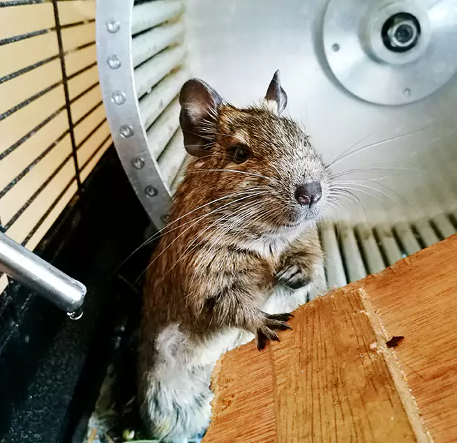 Why Homeowners & Businesses Trust Us Harlingen, TX