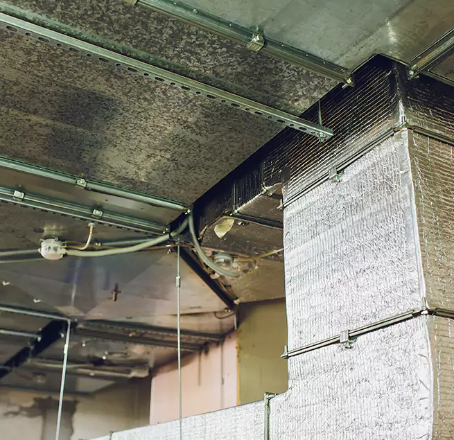 Why Homeowners & Businesses Trust Us in Harlingen, TX?