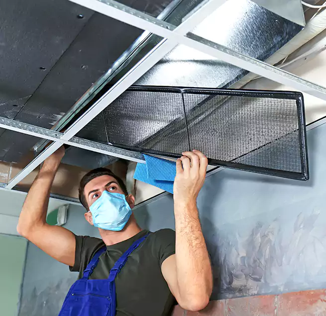 Why Homeowners Businesses Trust Us in Harlingen, TX